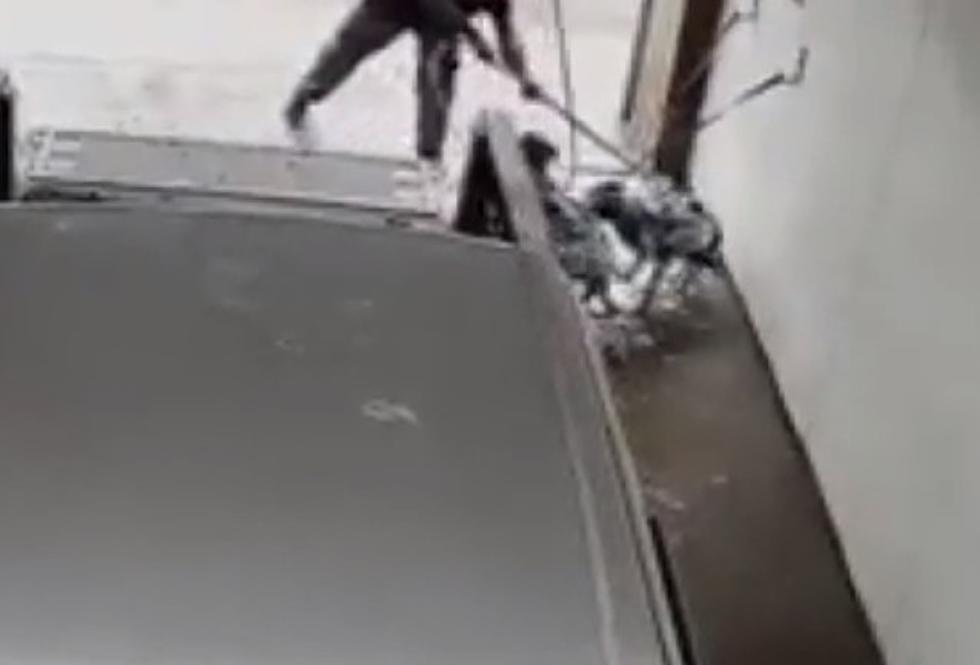Metro Detroit Man Caught Using Car Wash for Dogs [VIDEO]