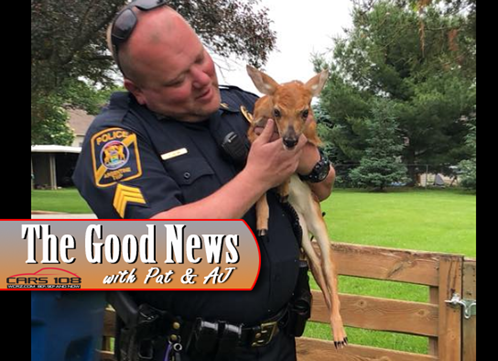 Argentine Twp Police Officers Rescued a Fawn – The Good News [PHOTOS]