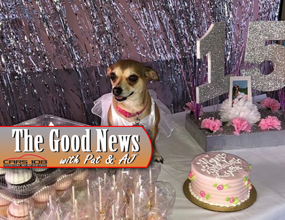Texas Woman Throws Rescue Dog A Quinceañera – The Good News