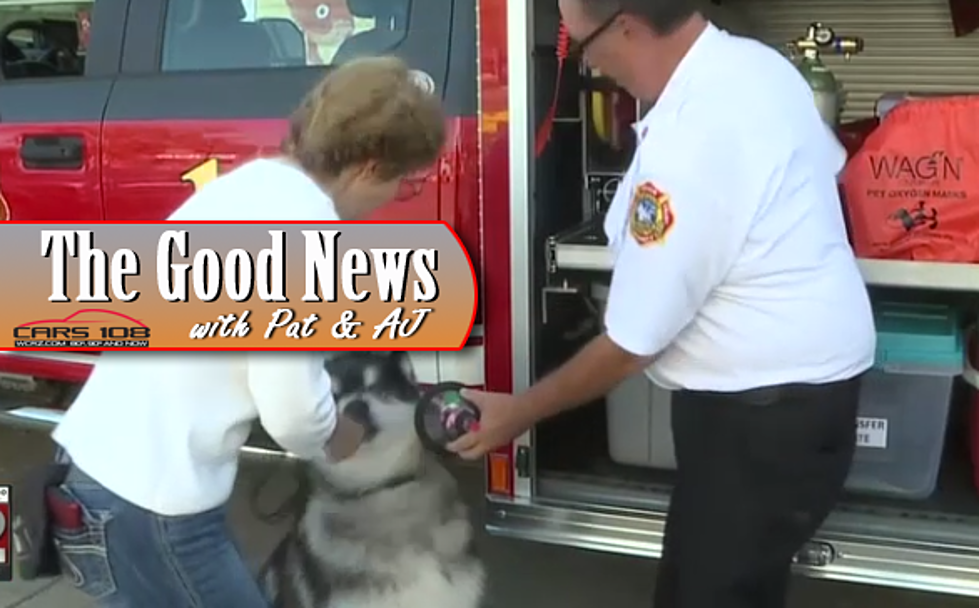 Oxygen Masks Donated to Linden FD to Help Save Pets 