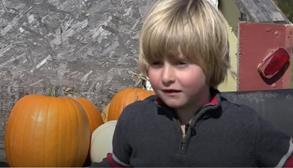 Michigan Boy Selling Pumpkins for Money for Diabetic Alert Dog 