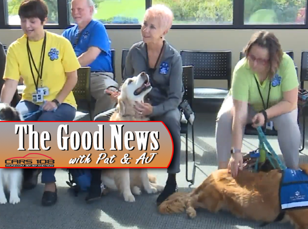 West Michigan Brings In Courthouse Therapy Dogs – The Good News