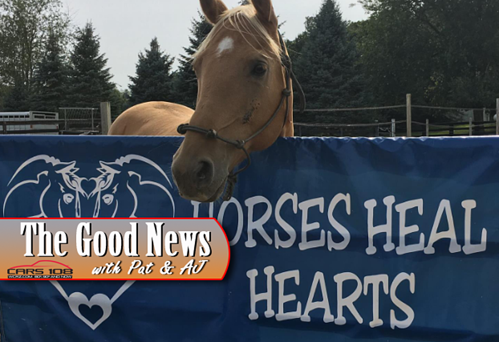 Fenton Non-Profit Brings Therapy Horses to People Hurting – The Good News