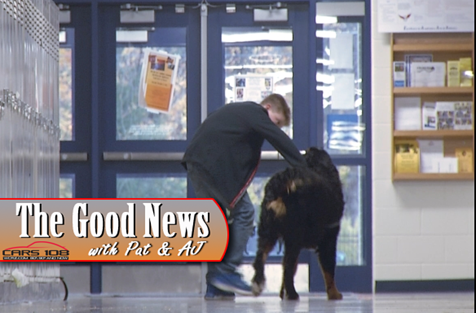 Boyne City Middle School Has a New Therapy Dog – The Good News