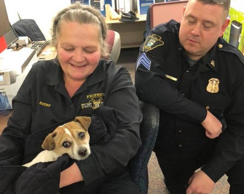 Flint Police Rescued Dog From Rooftop, Looking for Owner [PHOTOS]