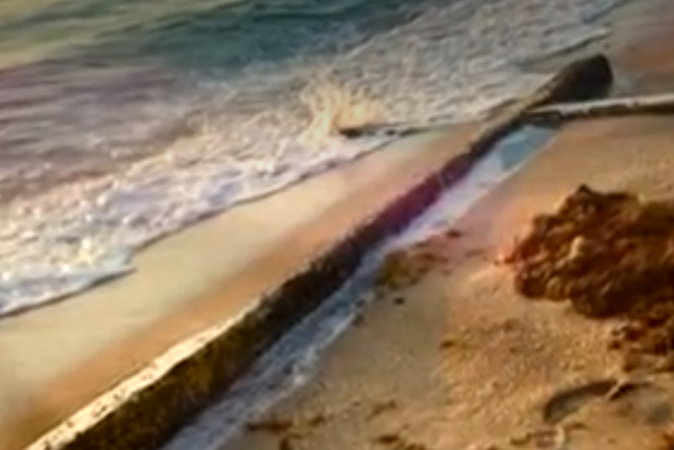 Michigan Couple Finds 20-Foot Cross on Florida Beach [VIDEO]