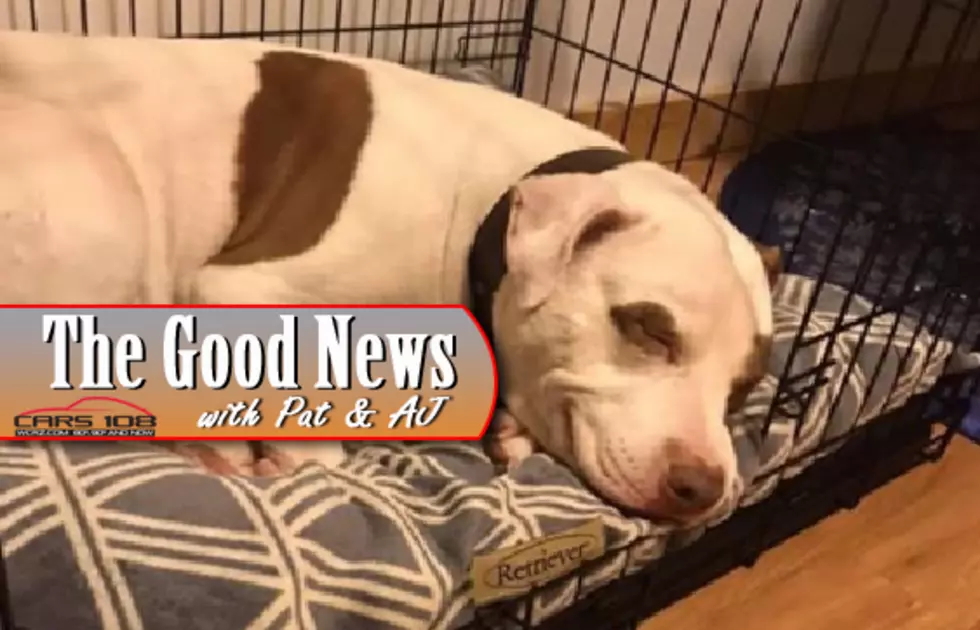 Last Dog at West Michigan Shelter is Adopted - The Good News