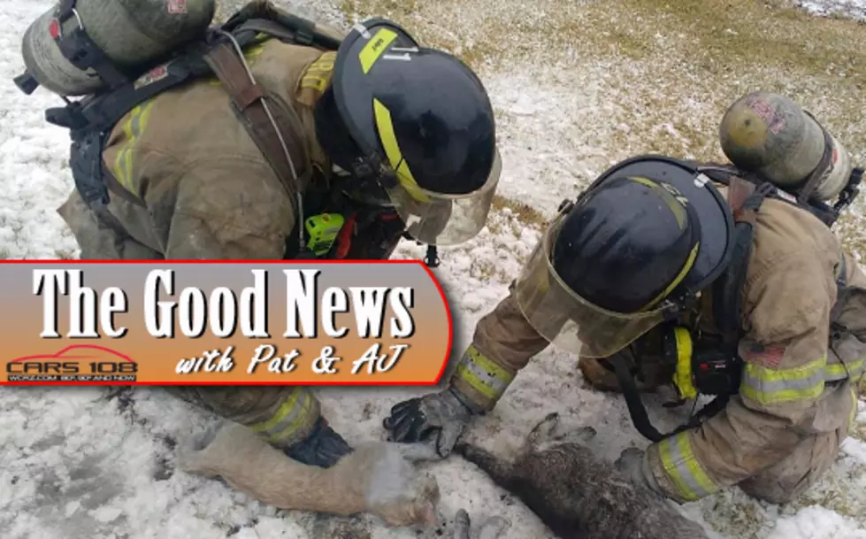 Swartz Creek Firefighters Save Cats with CPR After Fire – The Good News