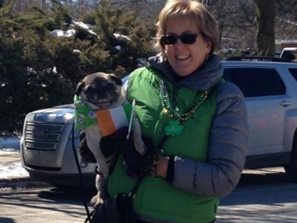 There was a St. Paddy's 'Pug Crawl' Yesterday in Traverse City 