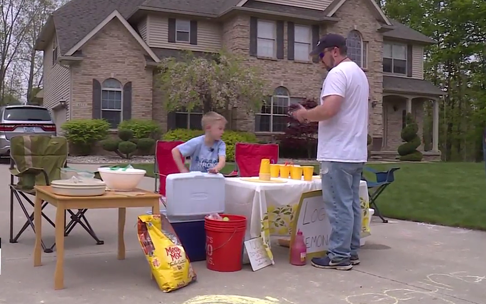 Grand Blanc Boy Holds Lemonade Stand for the Humane Society – The Good News