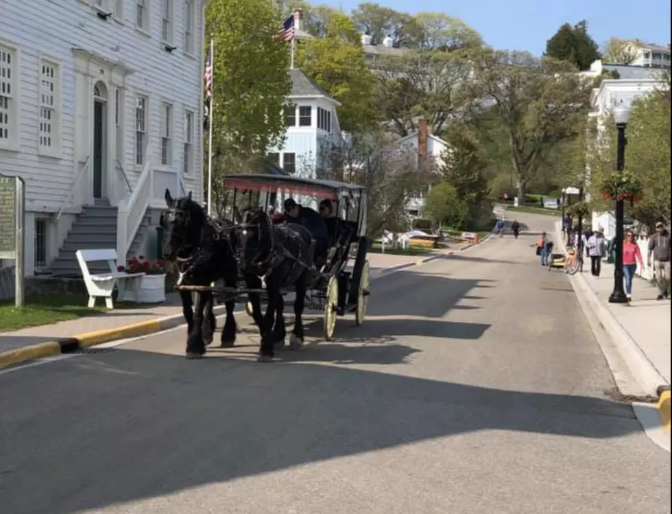 My Cousin Asked, &#8220;Where do the Horses on Mackinac Go in the Winter?&#8221;