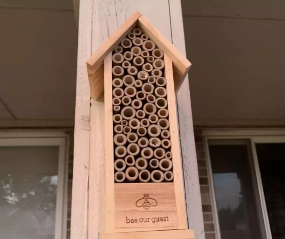 You Can Make & Take a Free Bee House at Factory Two in Flint