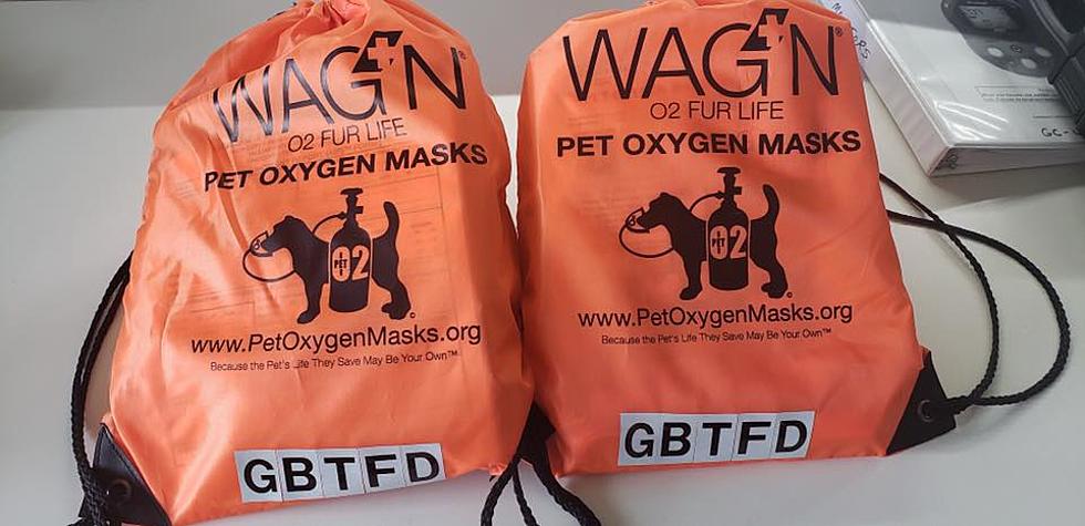Oxygen Masks for Pets Donated to Grand Blanc Fire Department 