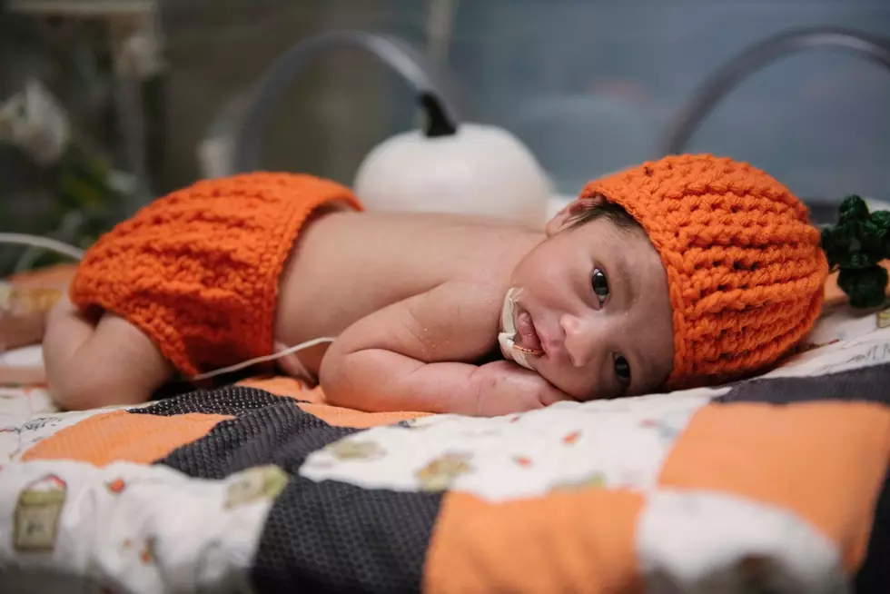 Detroit Hospital Shares Pics of NICU Babies in Halloween Costumes and They are Boo-tiful