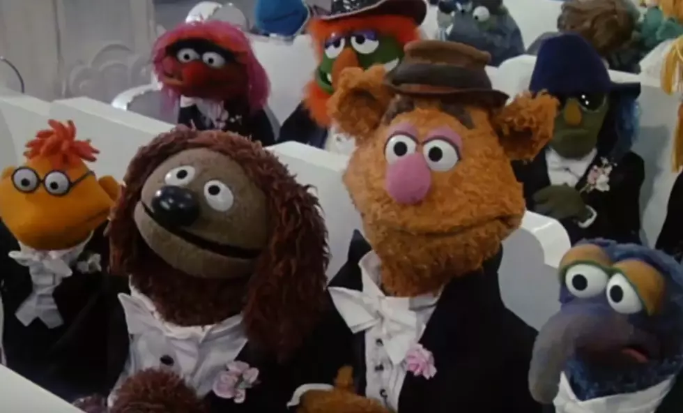 The Muppets Photobombed This Couple’s Wedding Video…