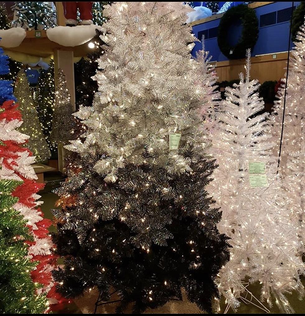 Move Over, Black Christmas Tree – Bronner’s Has Ombre Trees