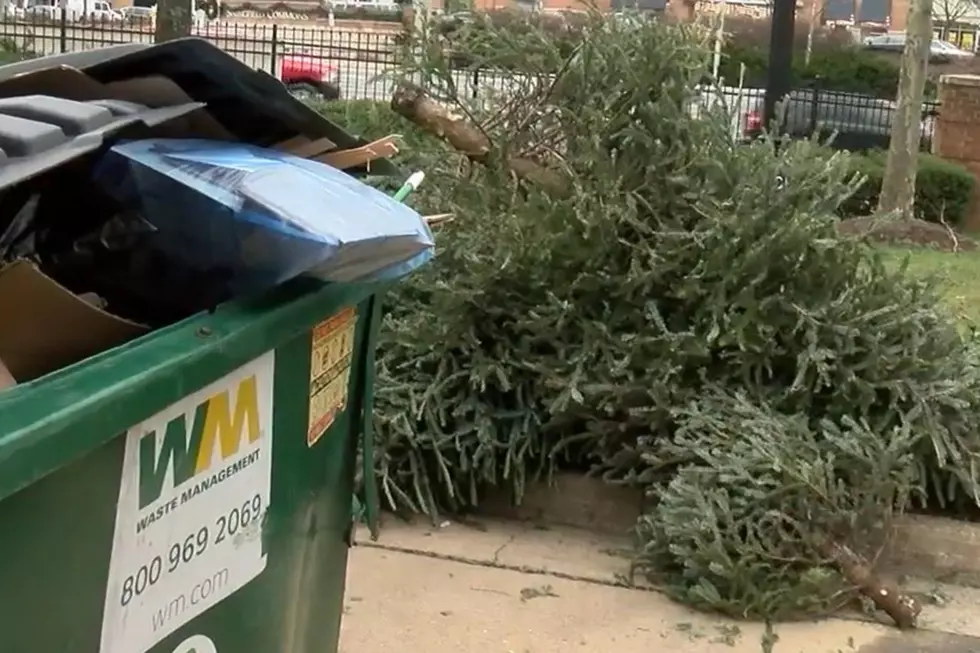Reason #461 Why Fake Christmas Trees Are Better Than Real Ones [VIDEO]