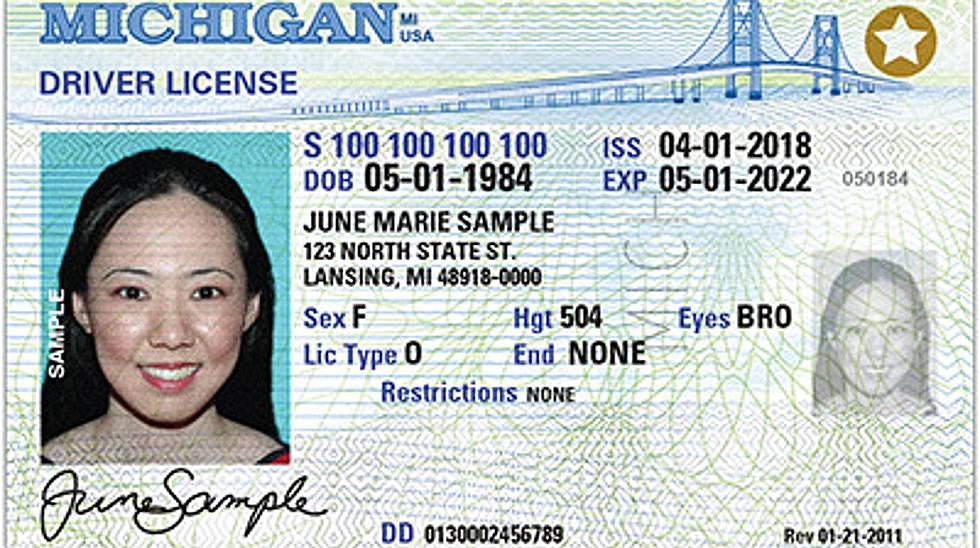 Gov. Whitmer Extends Expiration of Driver’s Licenses & State ID's