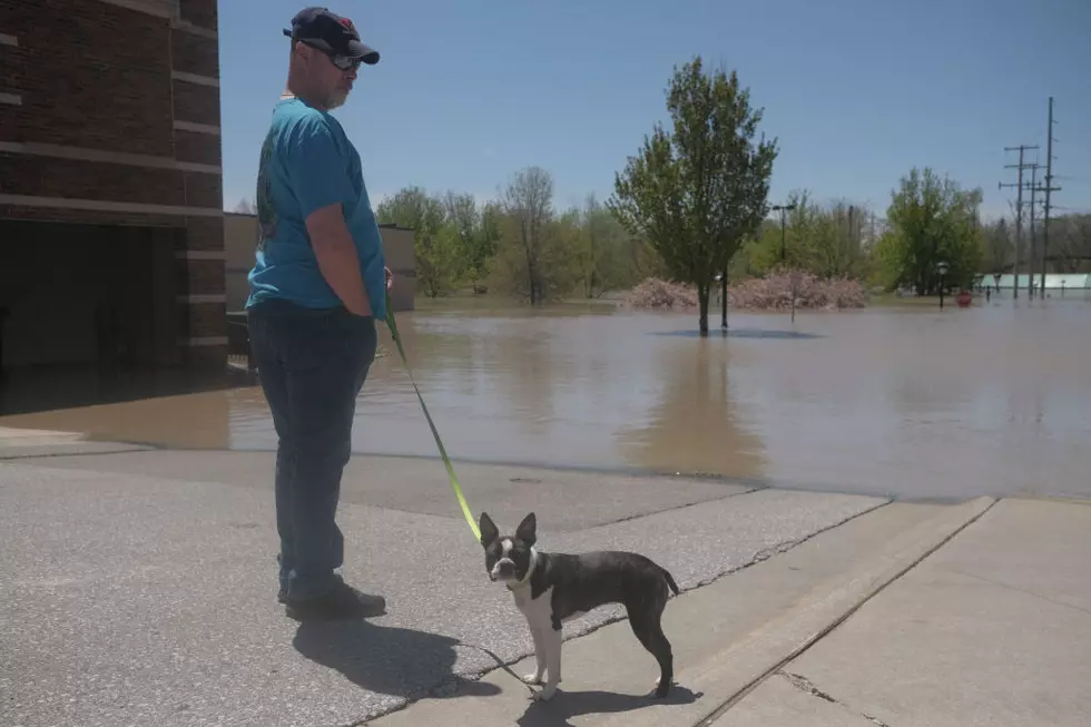 Saginaw Animal Control Offers Shelter for Pet Flood Victims 