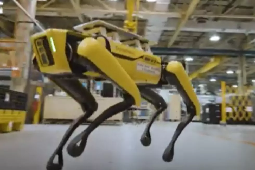 Meet Ford’s New Four-Legged Robots, Fluffy & Spot [VIDEO]