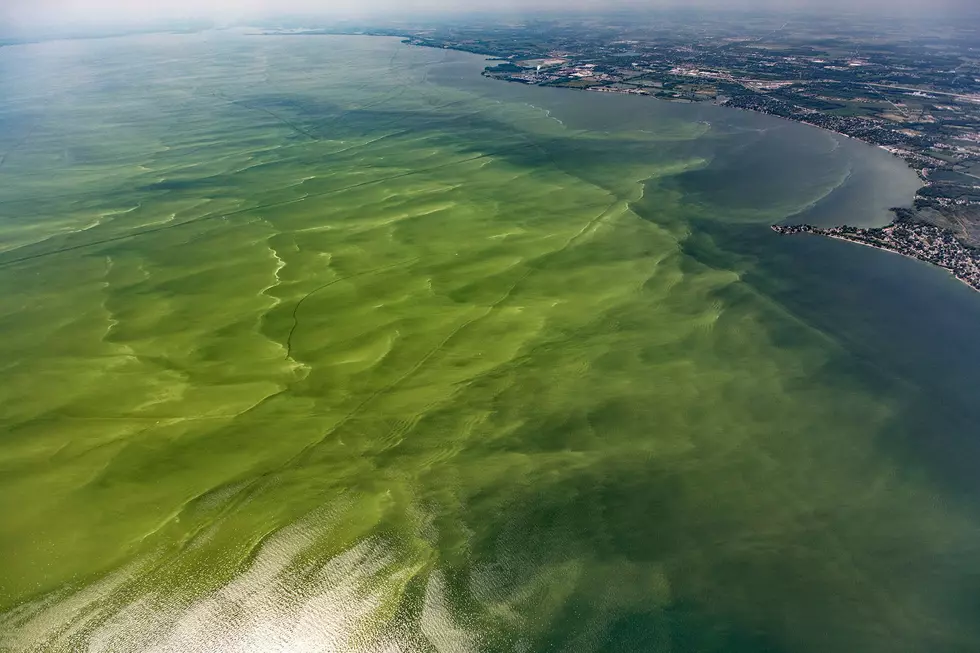 Be Careful: Harmful Algal Bloom Advisory in Some UP Lakes