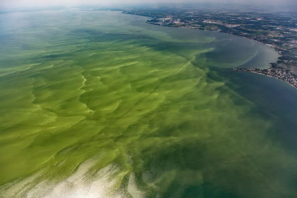 On the Water?Be Careful: Harmful Algal Bloom Advisory in Some UP Lakes