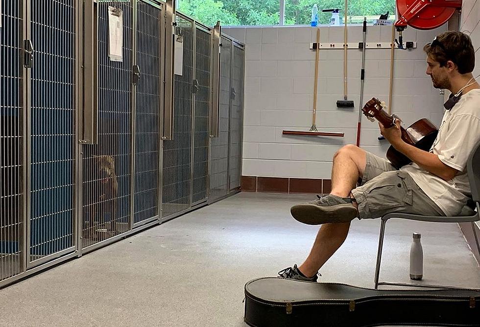 Flint Musician Plays Guitar for Fur Babies at Animal Control – The Good News