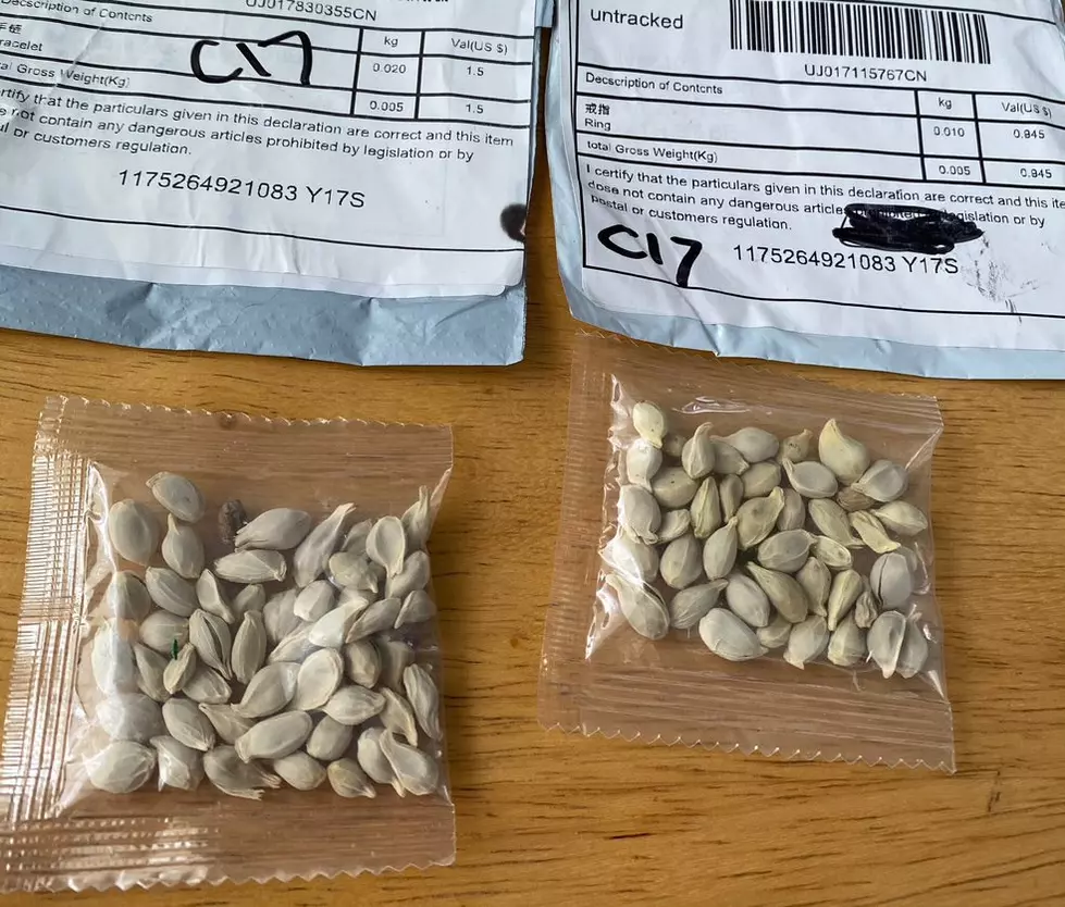 Michiganders Are Receiving Mystery Seeds in the Mail from China