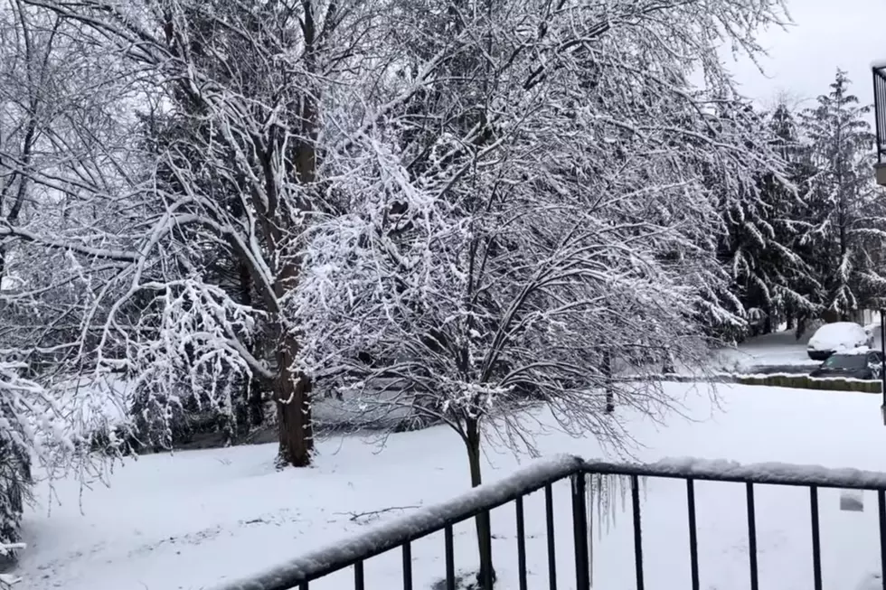 (For Now) Michigan’s First Snowfall Looks Majestic [VIDEOS]
