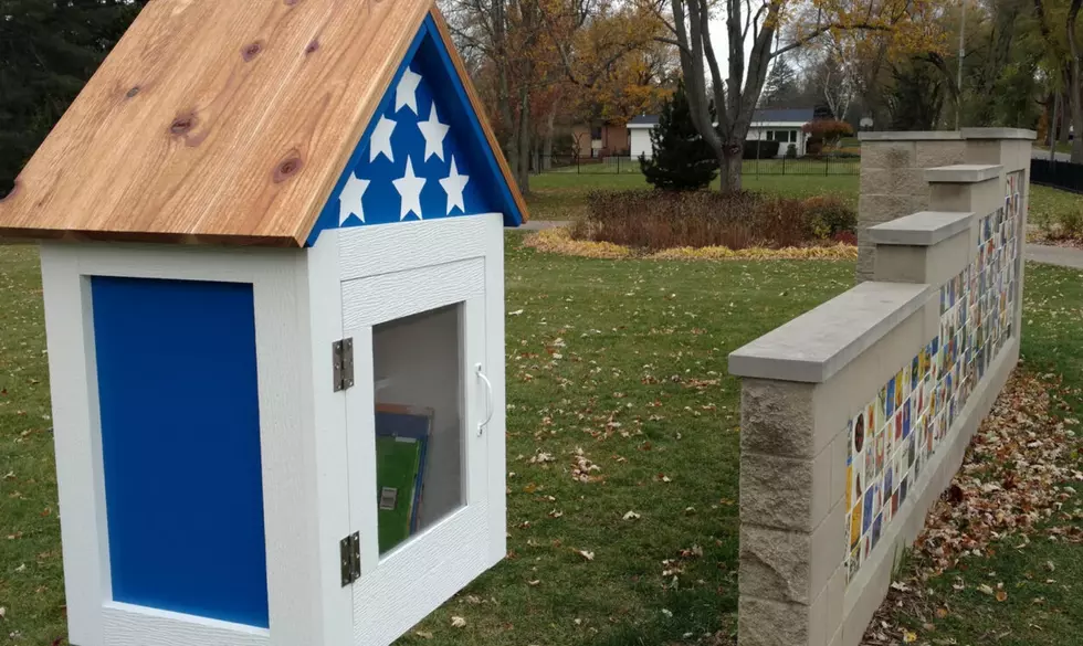 Eagle Scout Creates ‘Little Libraries’ for Grand Blanc Parks – The Good News