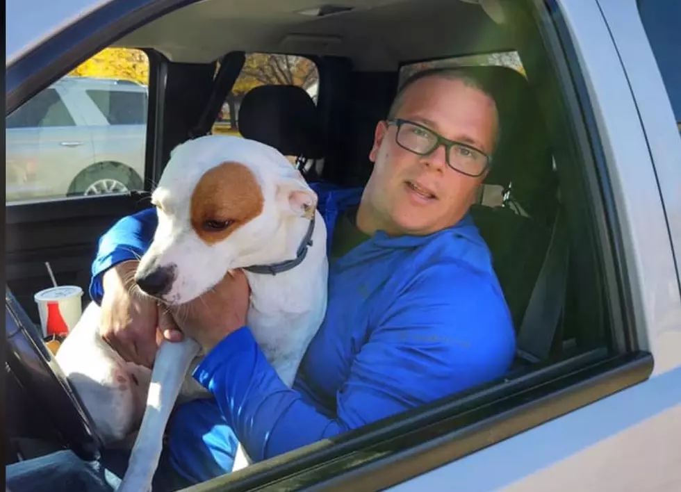 Facebook Helps Michigan Man Find Dog Lost After Car Wreck