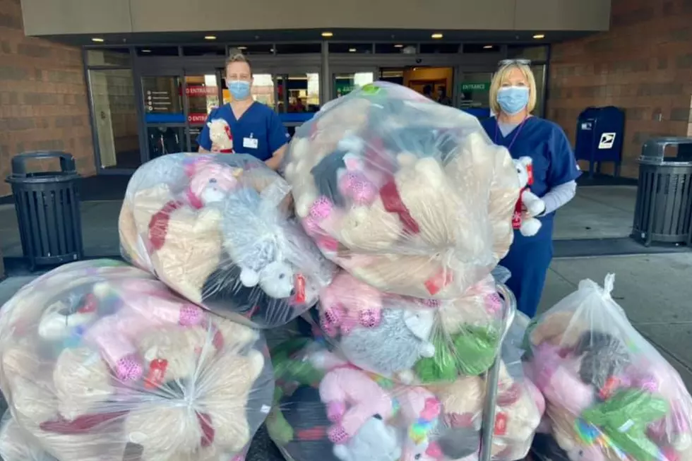 PetSmart Donates Stuffed Animals to Kids at Genesys Hospital 