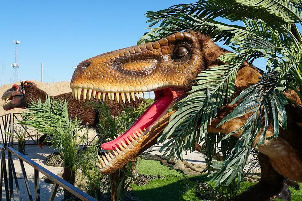 The Dinosaurs Are Heading Back to DTE This Summer