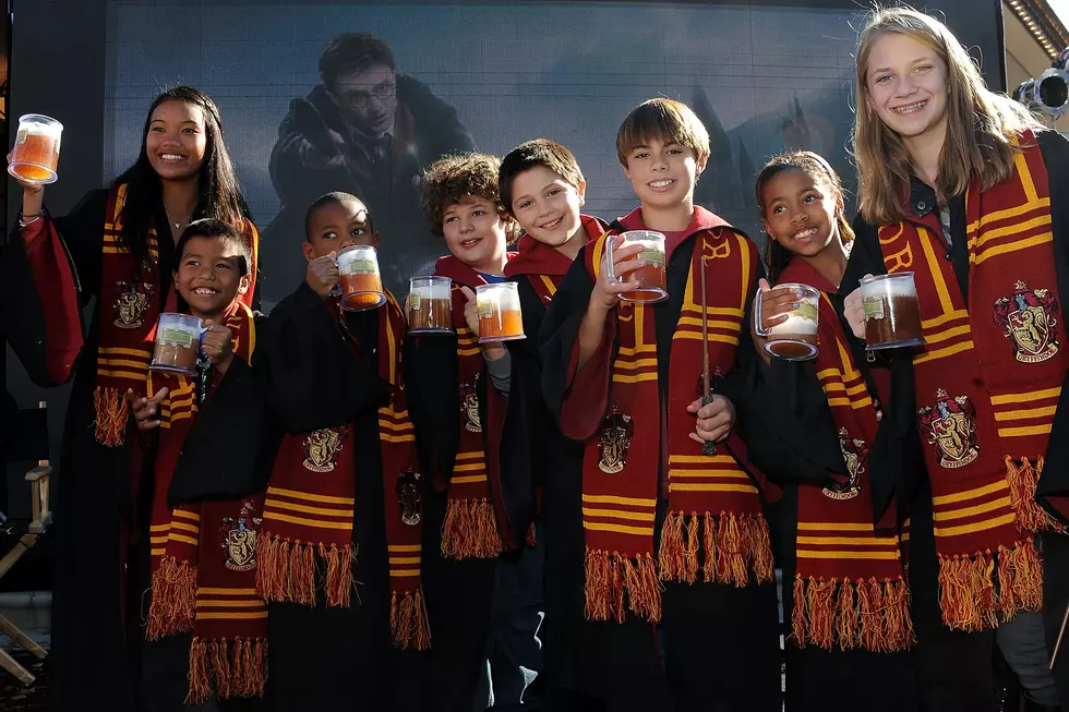 Davison Ice Cream Shop Has Flavor 'Harry Potter' Fans Will Love