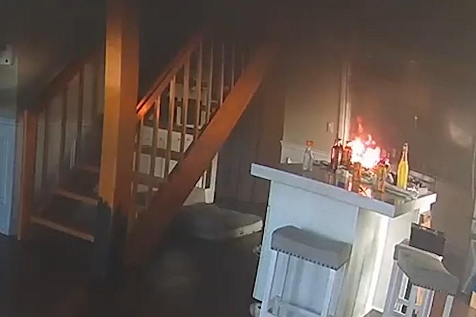 Dog Reaching for a Snack Sets House on Fire in Lake Orion [VIDEO]