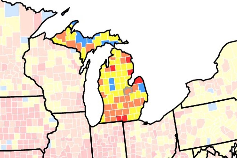 Several SE Michigan Counties at 'Substantial' Risk for COVID-19 