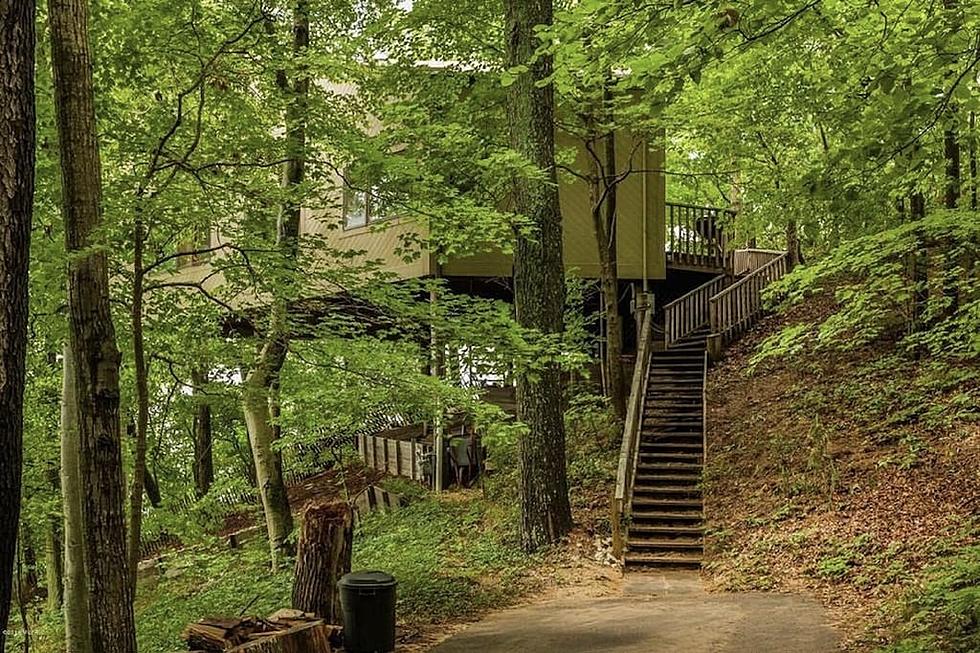 Feel Like Being a Kid Again? You Can Stay in This Tree House