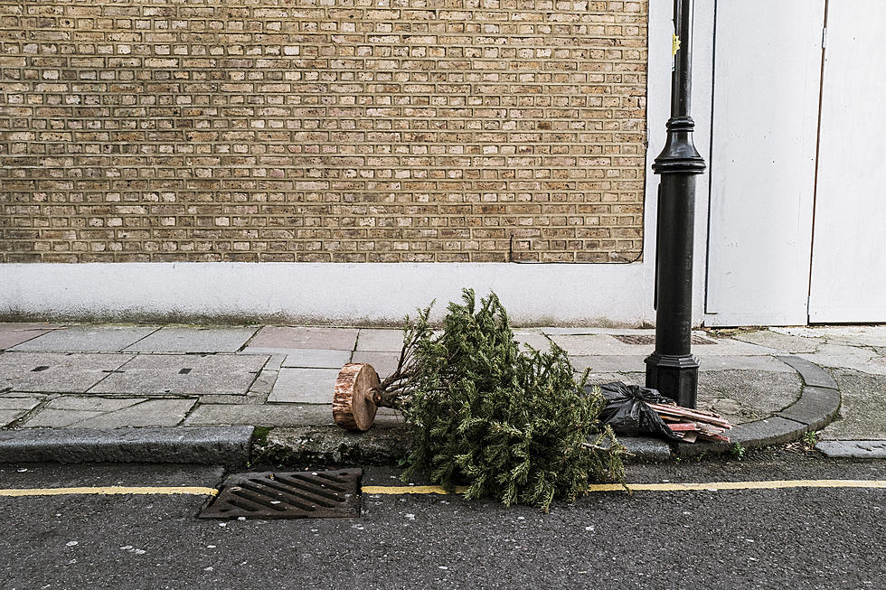 Time To Dispose Your Christmas Tree? Here Are Some Unique Ideas