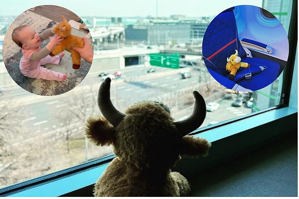 Child Finally Reunited with Lost Stuffed Toy Thanks to Caring Staff at Detroit Airport