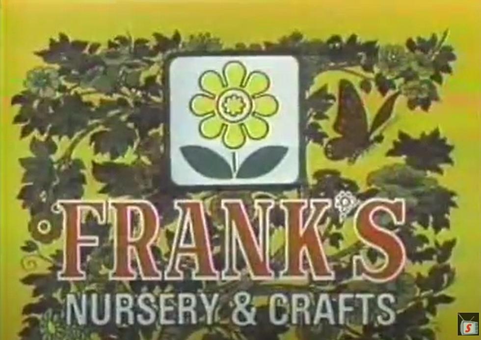 'Beautiful Things Begin Again' Frank's Nursery & Crafts is Back