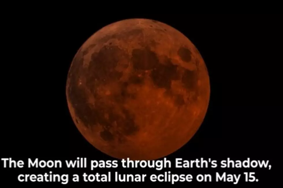 Michigan: The Perfect Place to View This Month’s Total ‘Blood Moon’ Lunar Eclipse