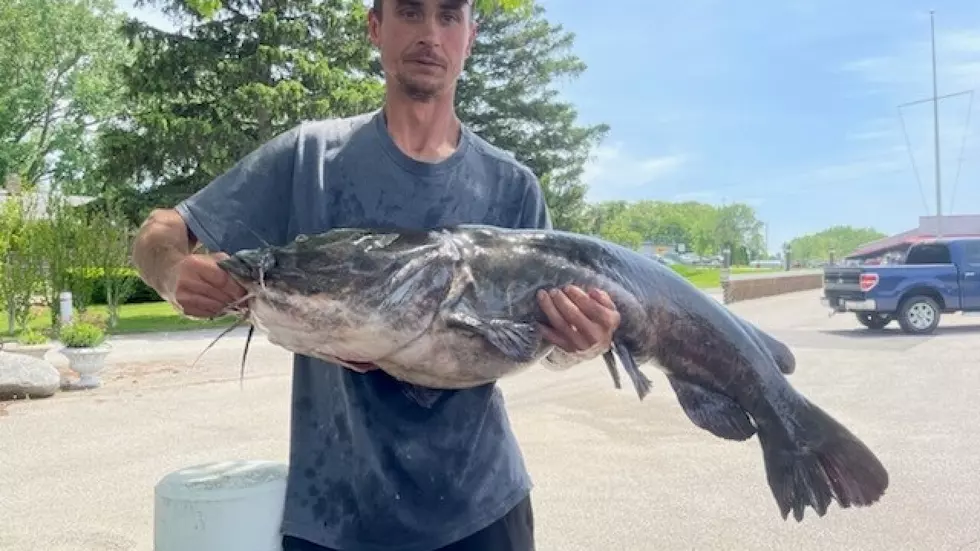 Angler Shatters Michigan Record Catching 53-Pound Catfish