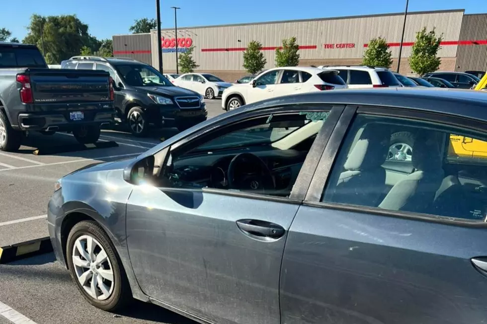 Lansing Cops Break Window to Rescue Dog Left in a Hot Car
