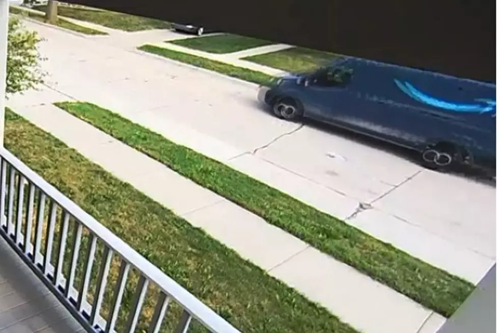 Did This Amazon Driver Just Steal a Michigan Homeowner's Puppy?