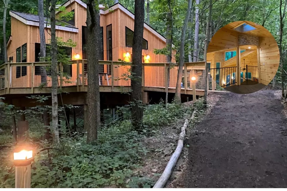Michigan Welcomes its First Luxury Treehouse Resort in Ionia