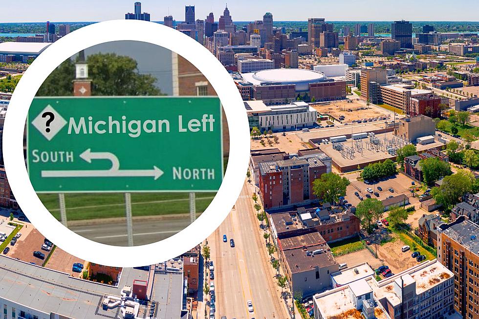 Curious: Do Other States Have the Loved and Hated Michigan Left?