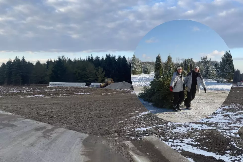 The Trees Are Gone: What’s Taking Over Grand Blanc’s Christmas Tree Farm