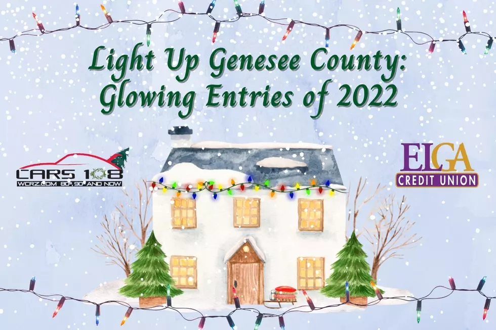 Light Up Genesee County: Our Glowing Entries of 2022