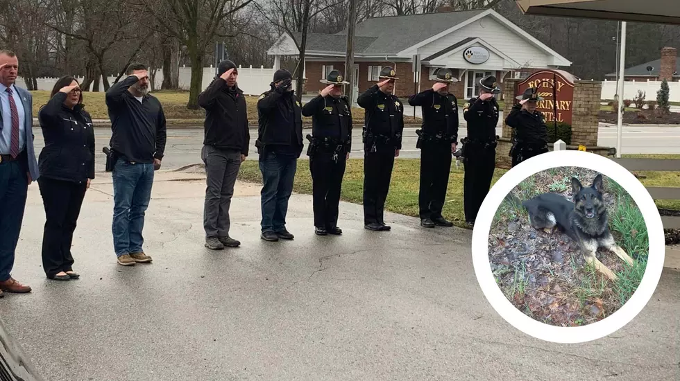 How Are Fallen K9s Honored? Salute To Genesee County K9 Bullet