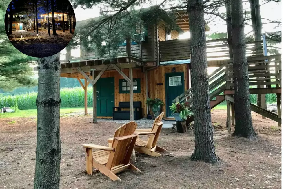 Cozy East Leroy Treehouse Voted One of the Coolest Airbnbs in Michigan
